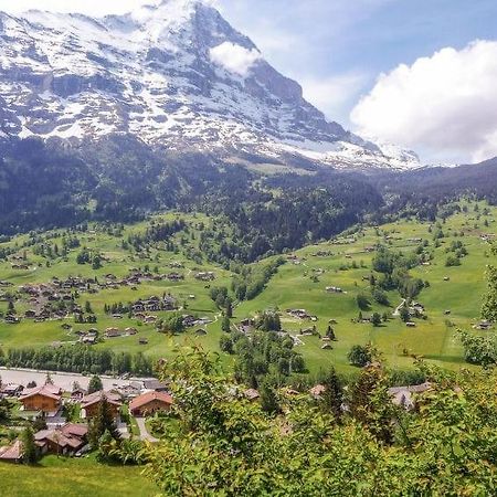 Апартаменти Chalet Aphrodite Ost Гріндельвальд Екстер'єр фото
