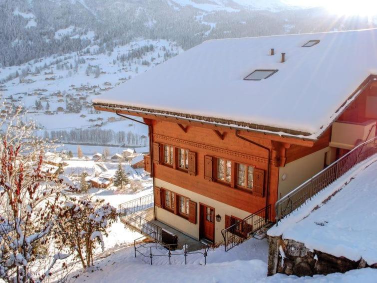 Апартаменти Chalet Aphrodite Ost Гріндельвальд Екстер'єр фото