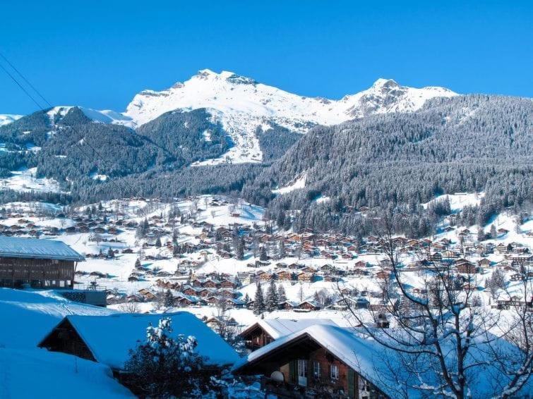 Апартаменти Chalet Aphrodite Ost Гріндельвальд Екстер'єр фото